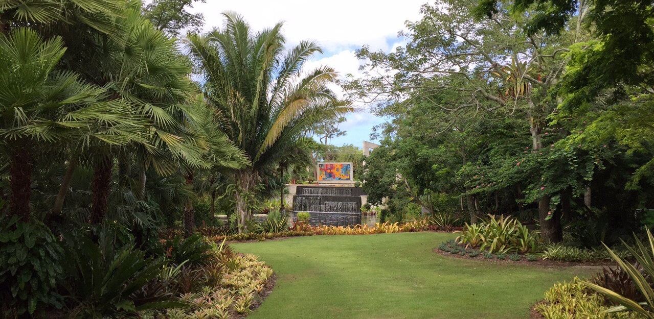 A Trip Around the Equator: Naples Botanical Garden